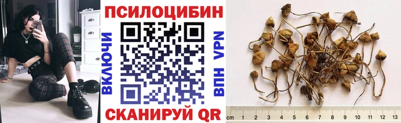 Псилоцибиновые грибы мухоморы  Михайловск 