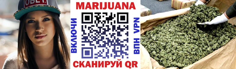 omg как зайти  Михайловск  Канабис сатива 